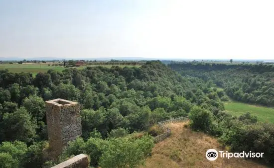 Necropoli Etrusca di Castel d'Asso