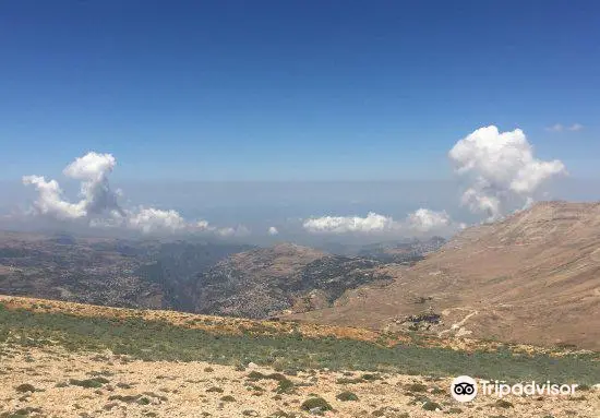 Mt Hermon