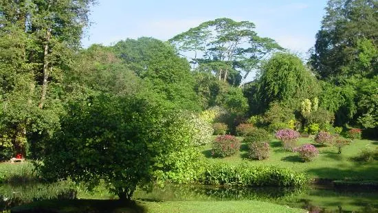 Henerathgoda Botanical Garden