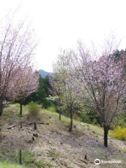 都幾山 慈光寺(坂東三十三観音9番)