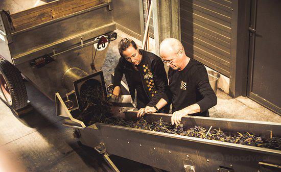 Winery LePlan-Vermeersch