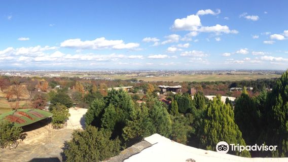 Reversible Destiny Lofts Mitaka