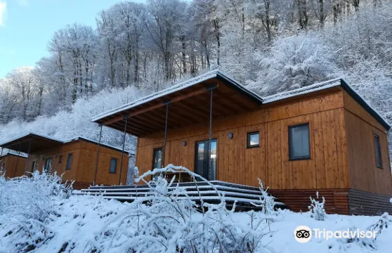 威尼耶露營酒店