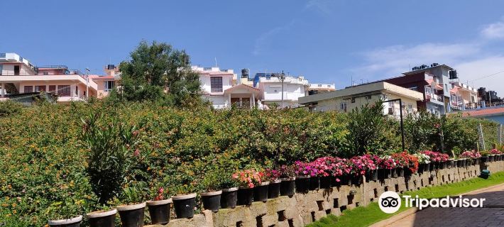 Sunvalley Homestay Hotels in Nilgiris