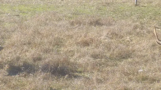 ナトゥラーレ・ミリアリーノ・サン・ロッソレ・マッサチウッコリ公園