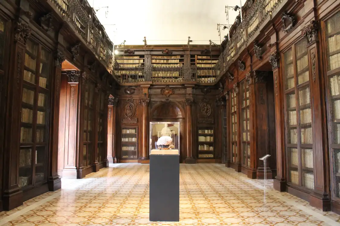 Hotel in zona Biblioteca Lucchesiana