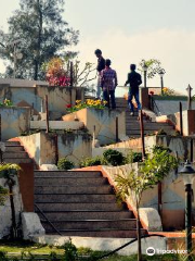 Step Garden