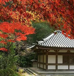 鎮国寺