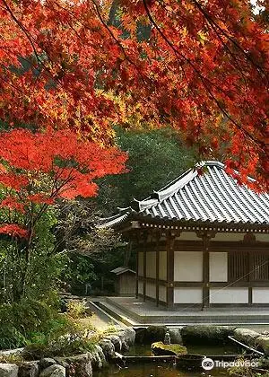 鎮国寺