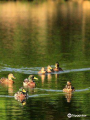 Buchan Country Park