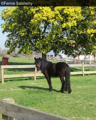 Hotels near Ferme Salaberry