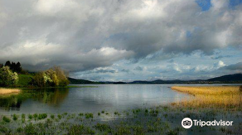 Cerknica Lake