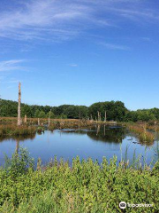 Caledon State Park