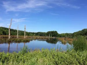 ケールダン州立公園