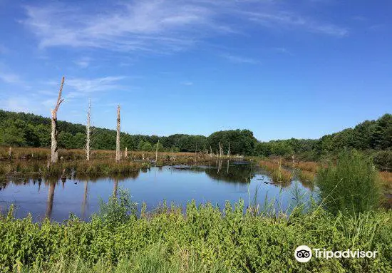 Caledon State Park