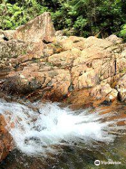 Paluma and Crystal Creek Rainforest