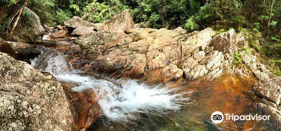 Paluma and Crystal Creek Rainforest