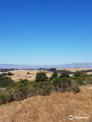 Pearson-Arastradero Preserve