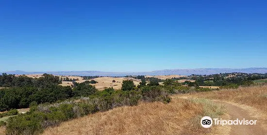 Pearson-Arastradero Preserve
