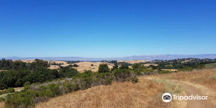 Pearson-Arastradero Preserve