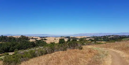 Palo Alto