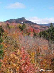 Sugar Hill Scenic Vista