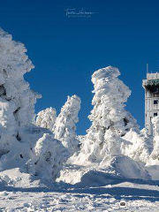 Harz National Park