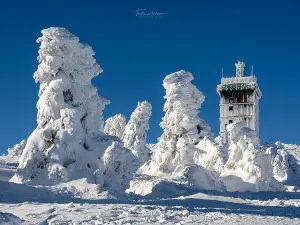 Parc national du Harz