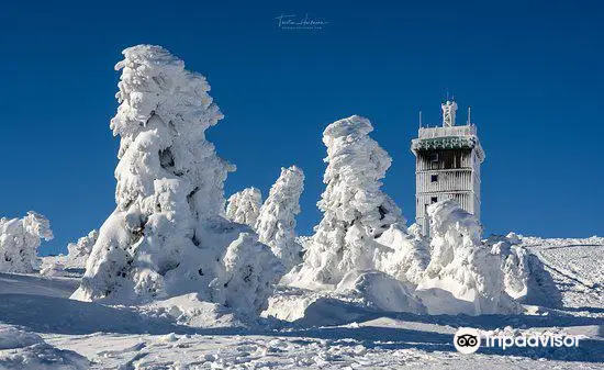 Harz National Park