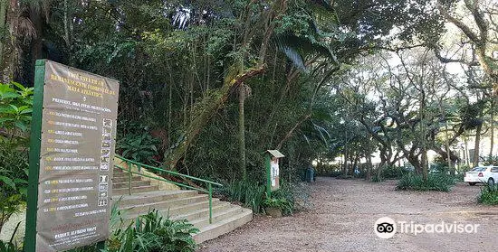 Alfredo Volpi Park