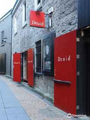 Druid Theatre