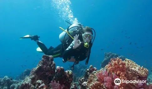 2_Deep Blue Sea Diving Centre