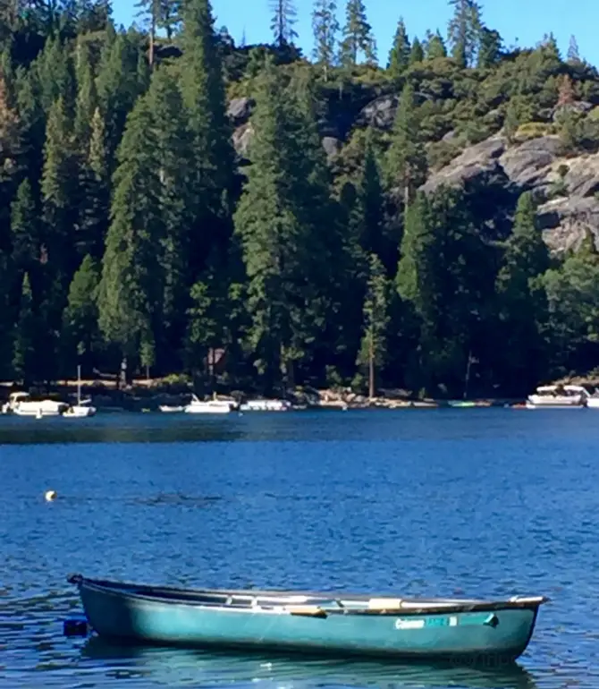 Pinecrest