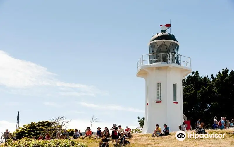 East Harbour Regional Park