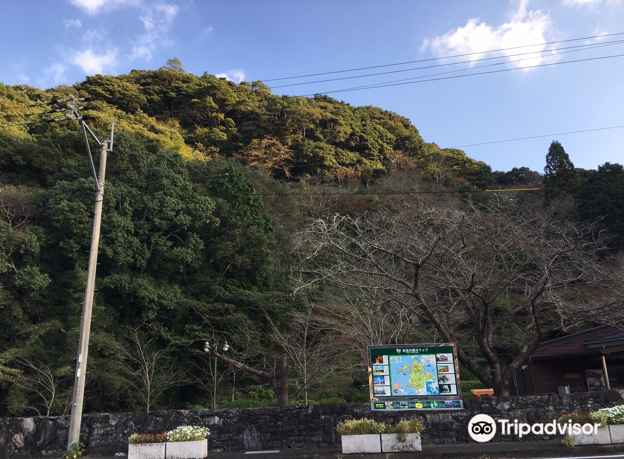 長崎縣西海市top10好去處 21西海市旅遊攻略 Trip Com