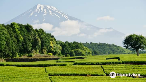Fuji