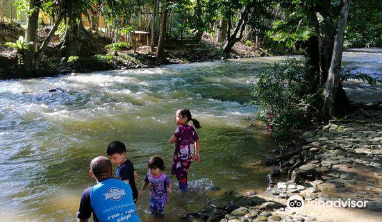 Bentong