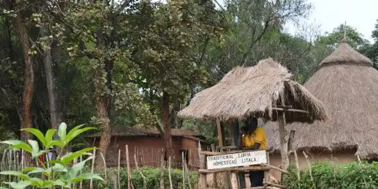 Hotels near LESSOS Centre