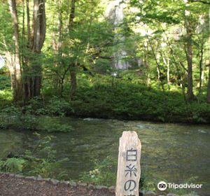 Shiraito Falls