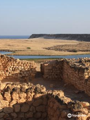 The Frankincense Trail