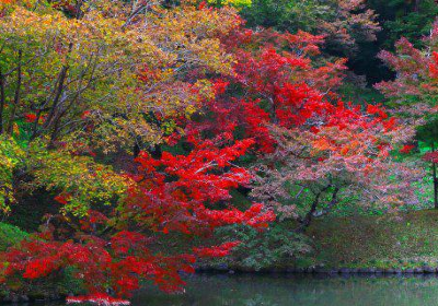 Yujaku Park