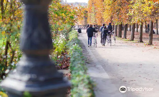 Paris A Velo C'est Sympa