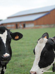 La Ferme des Délices Foréziens