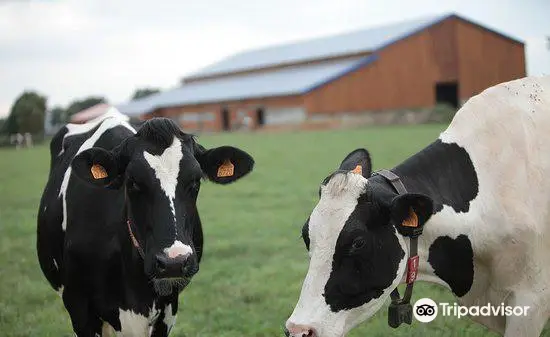 La Ferme des Delices