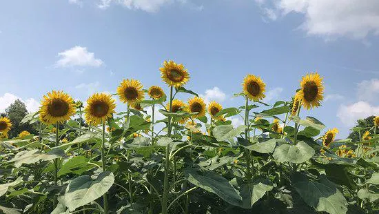 津南町農と縄文の体験実習館 なじょもん