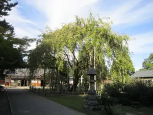 Asuwayama Park