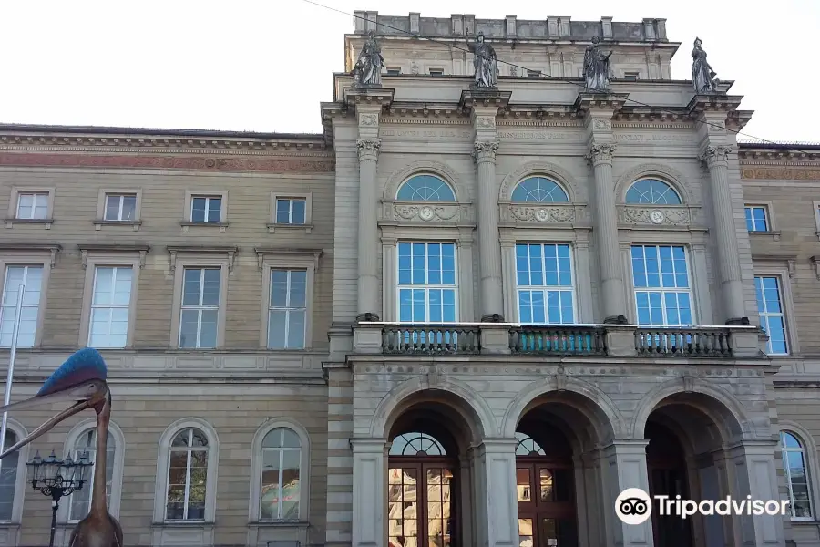 Naturkundemuseum Karlsruhe