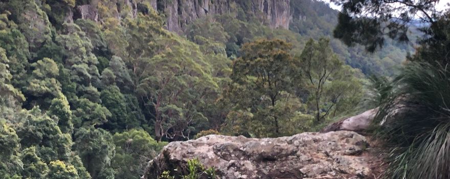 Drewvale