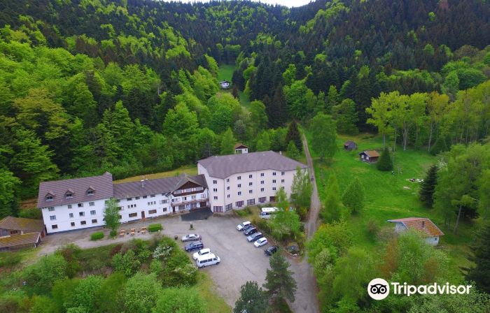 Chambres d'hôtes - Sauna & Bien-être Logis Domaine Langmatt