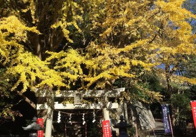 Kamisoyagikumano Shrine